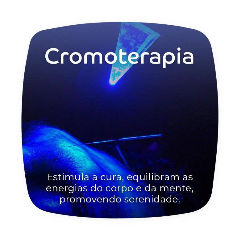 BEM-ESTAR-CARROSSEL_03 copy